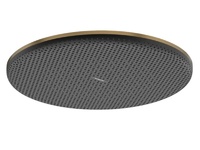 Стилна душ пита Raindance Alive S 300 1jet Brushed Bronze